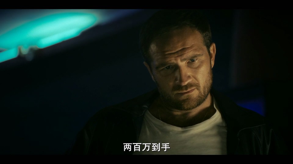 2024德剧《同盗中人》8集全.HD1080P.德语中字截图