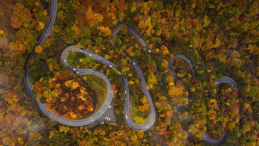 秋天被树木环绕的蜿蜒道路的美景