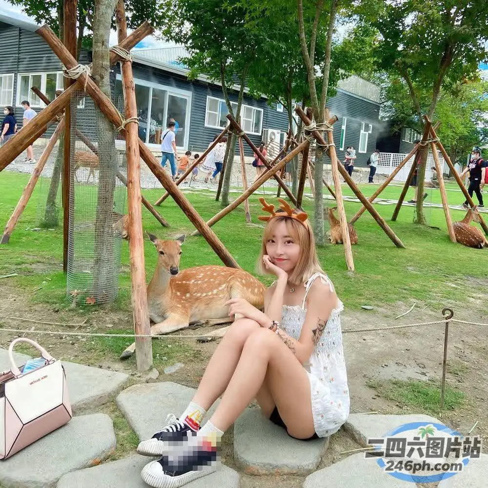 有一个女孩坐在一个石头平台上，背景是一只鹿
