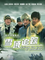 抗日冲锋队雪域追踪封面图