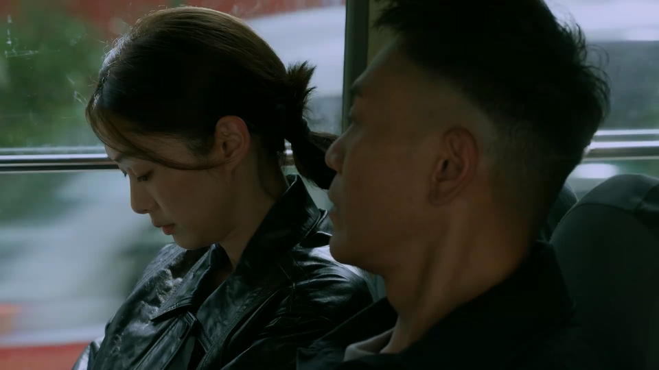 2026国剧《重案解密 国语》12集全.HD1080P.国语中字截图