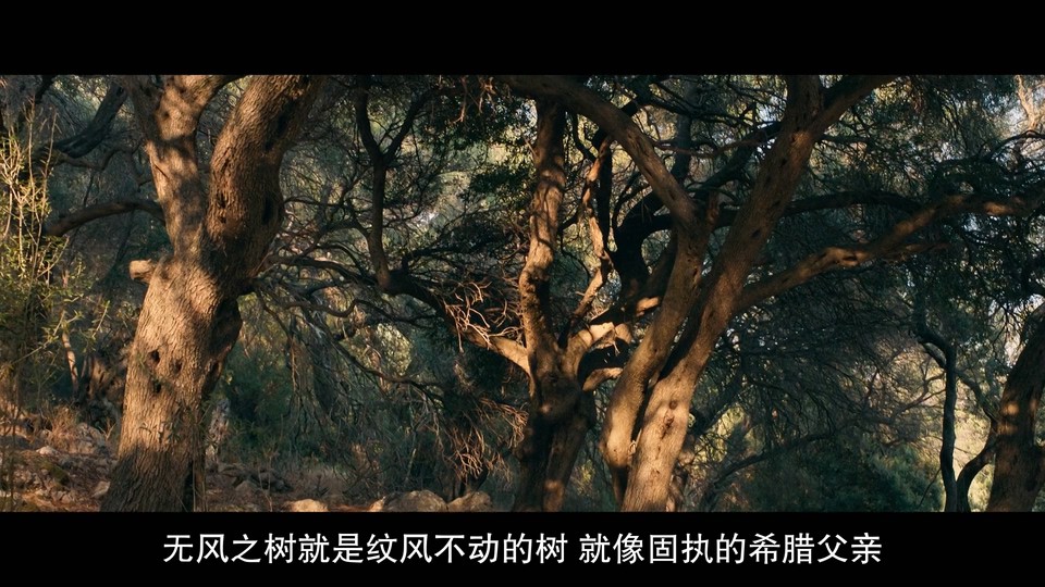 2023爱情喜剧《我盛大的希腊婚礼3》HD1080P.英语中字截图;jsessionid=RYF-1udKnHKVoZIKnwq7e2ykP4m1kpFEbgNLCJbE