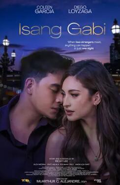 一夜风流封面图