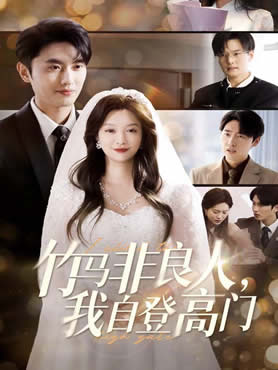 竹马非良人，我自登高门封面图