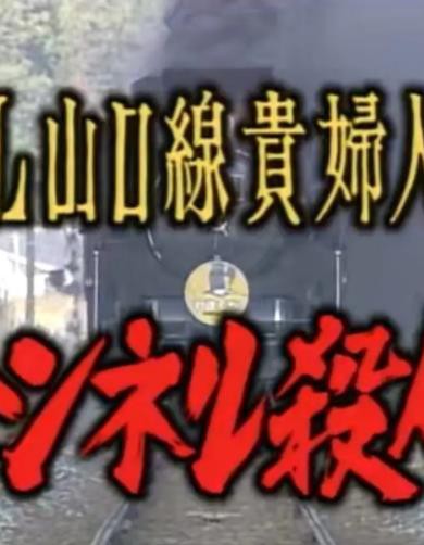 SL山口线贵妇人号隧道杀人封面图