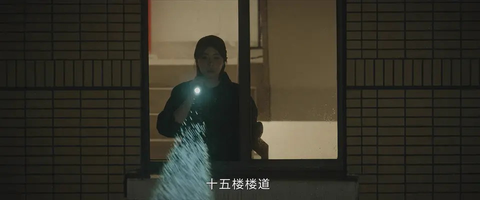 2025国剧《正当防卫》更至05集.HD1080P.国语中字截图