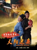 侠侣探案之天阳迷案封面图