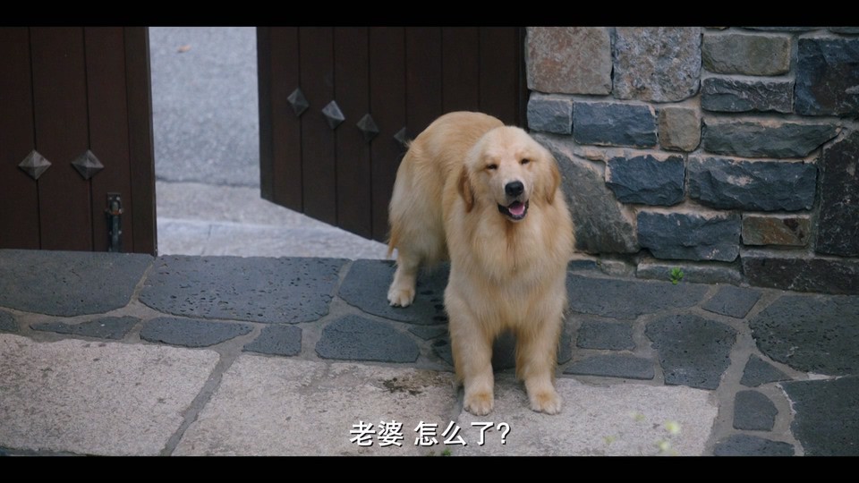美好世界剧照