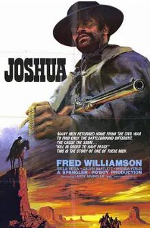 荒野黑煞星封面图