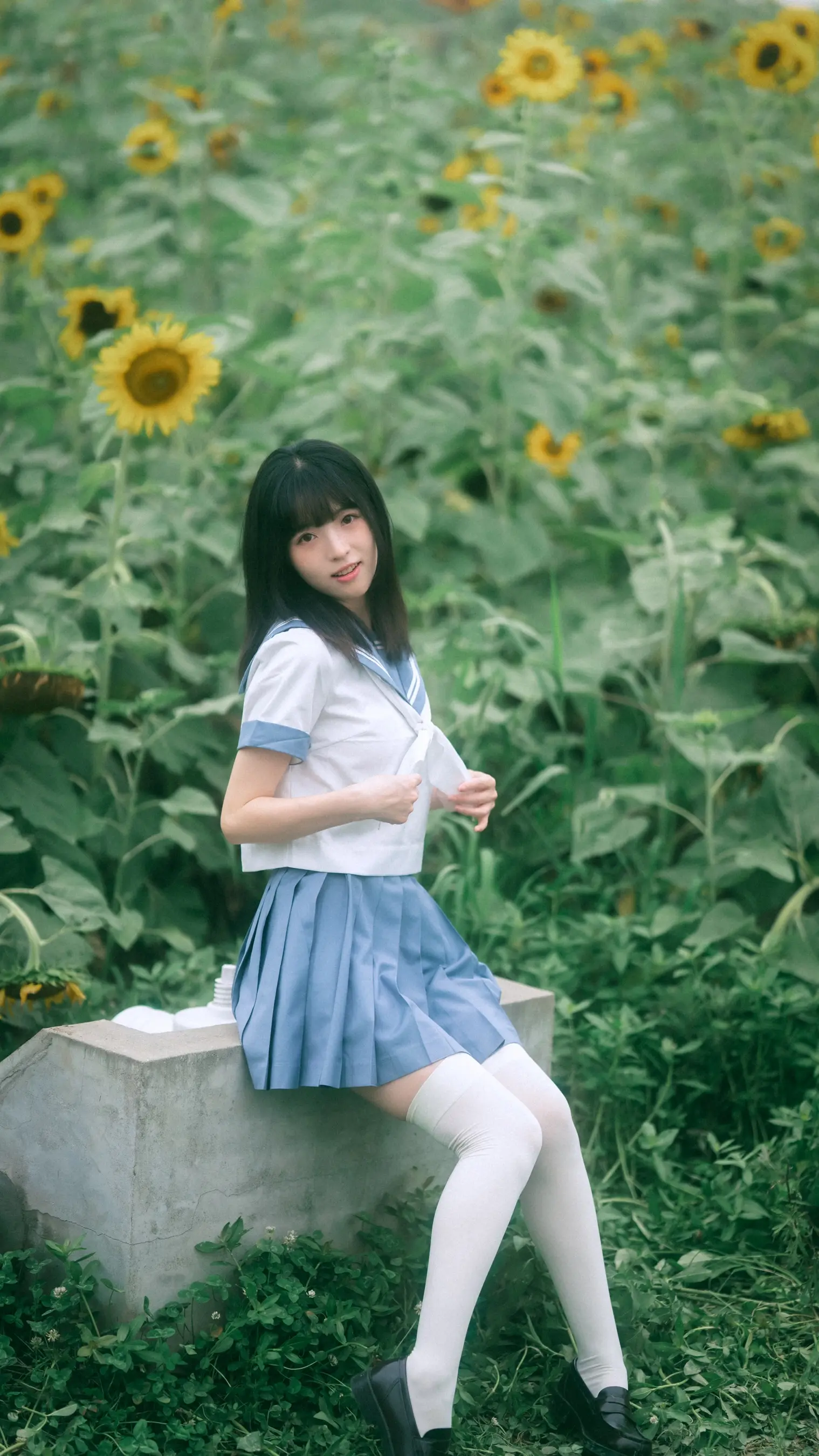 阿拉菲德女孩坐在向日葵田的长椅上