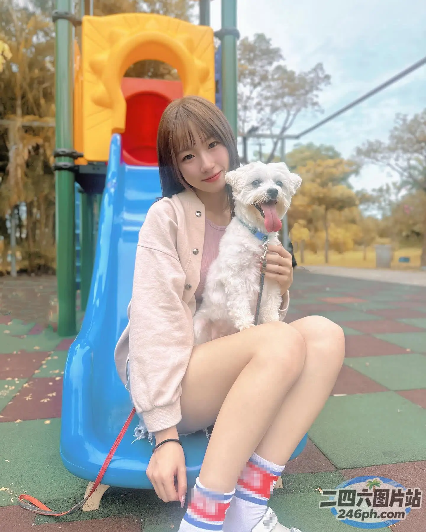 Araffe 坐在场上，拴着狗绳