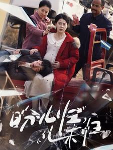 盼儿归儿未归封面图