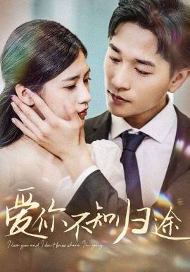 爱你不知归途$爱你漫漫长路封面图