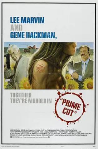 双龙大火拼封面图