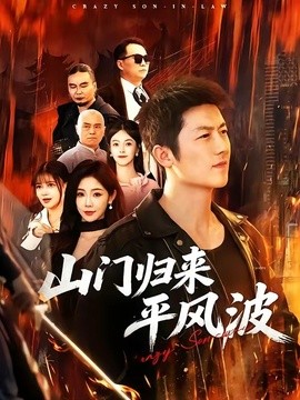 山门归来平风波封面图