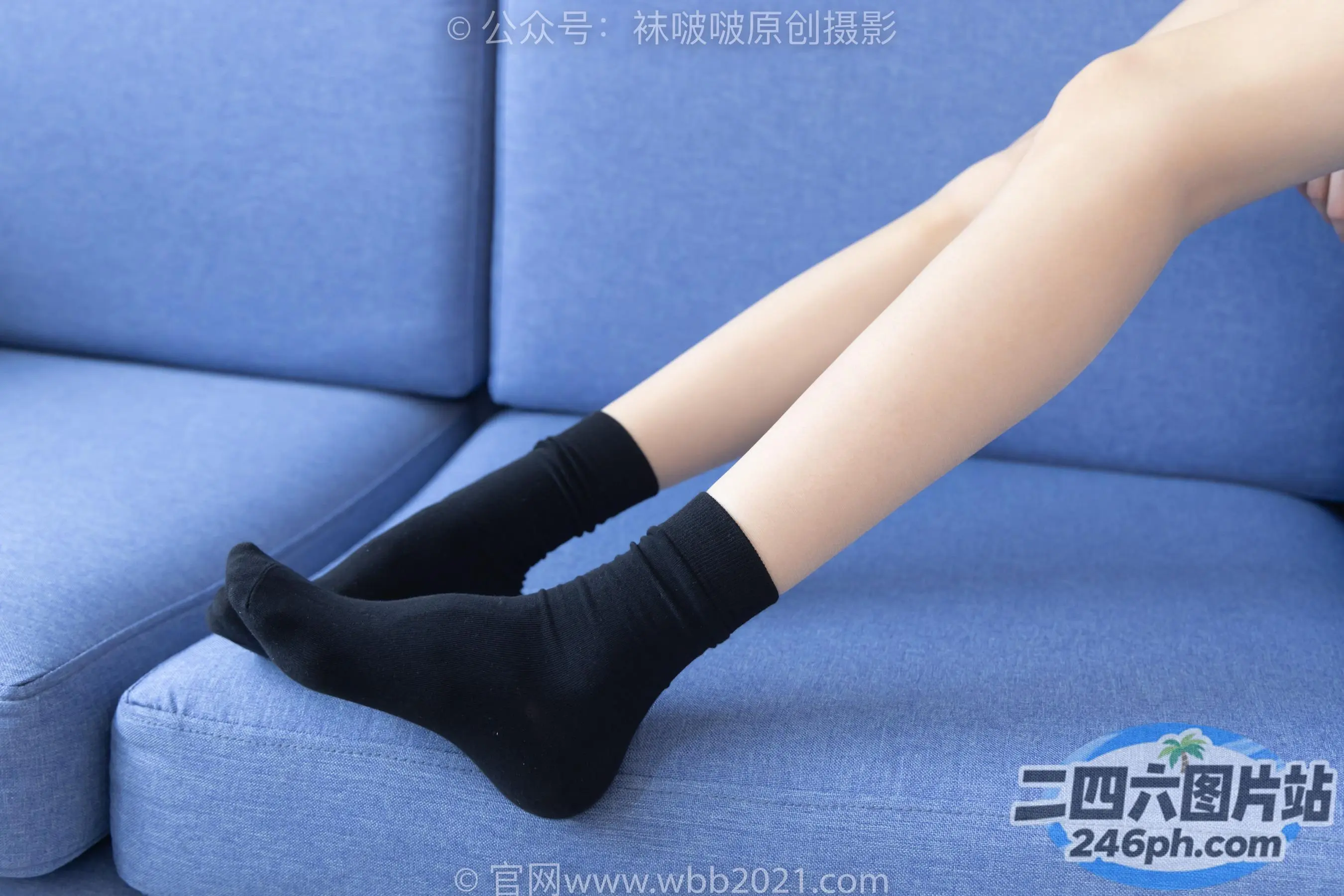 蓝色沙发上的阿拉弗腿，背景是蓝色沙发