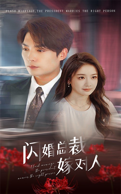 闪婚总裁嫁对人封面图