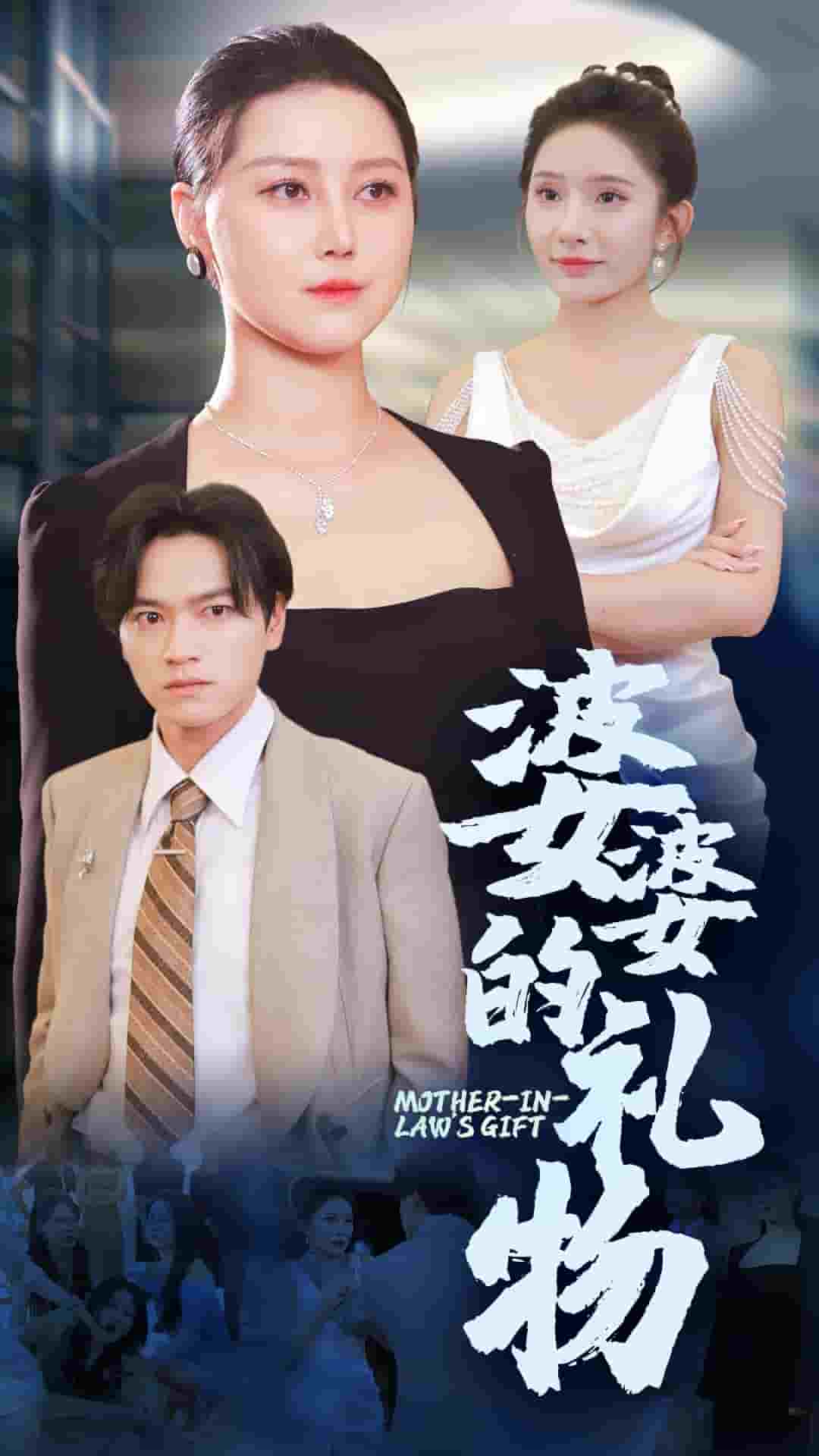 婆婆的礼物封面图