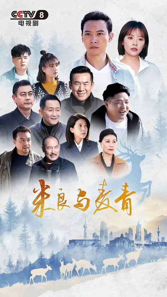 米良与麦青封面图