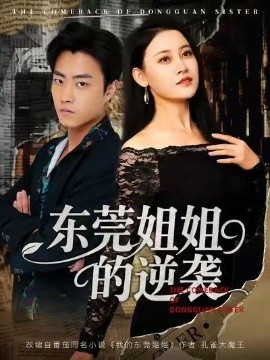 东莞姐姐的逆袭封面图