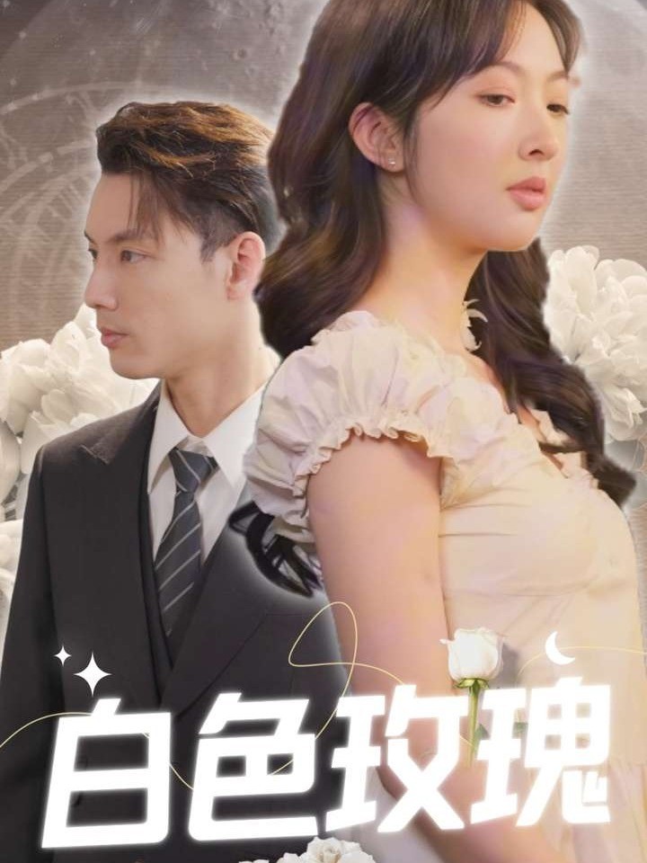 白色玫瑰封面图