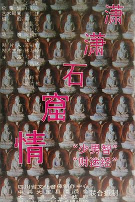 潇潇石窟情封面图