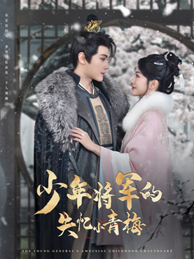 少年将军的失忆小青梅封面图
