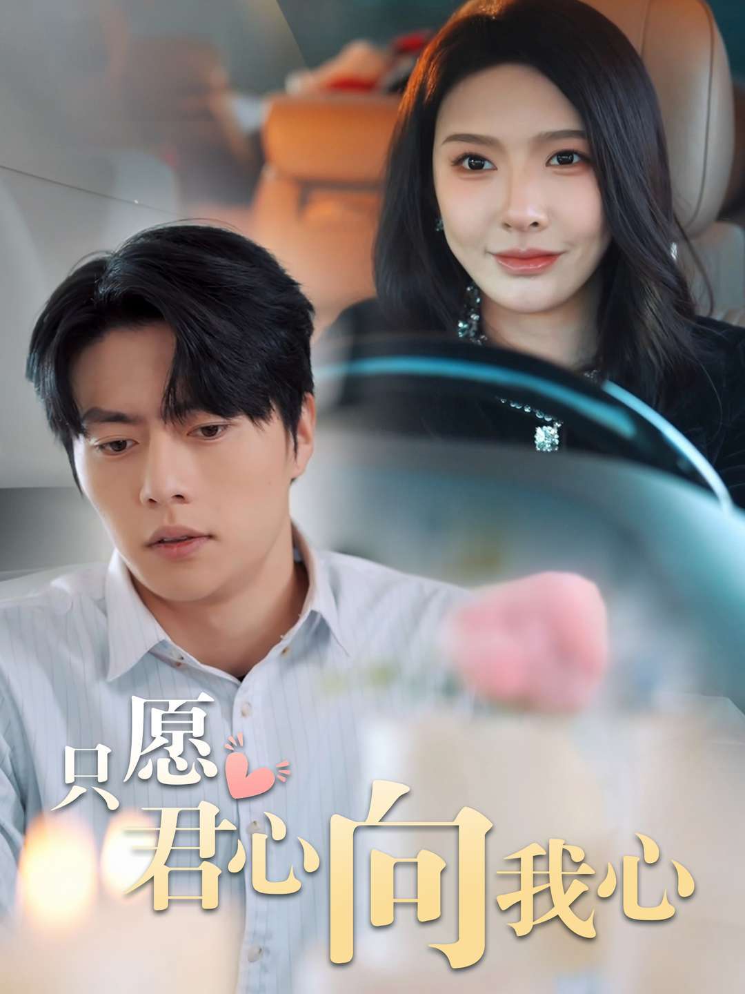 只愿君心向我心封面图