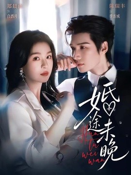 婚途未晚封面图