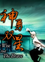 神勇双星封面图