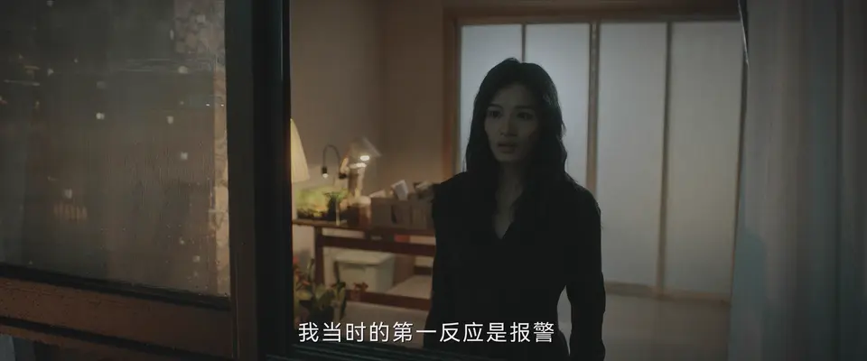 2025国剧《正当防卫》更至05集.HD1080P.国语中字截图