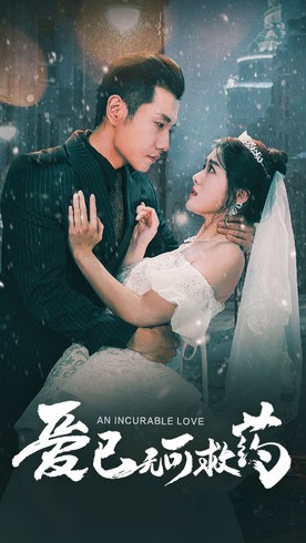 爱已无可救药封面图