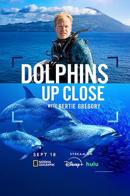 摄影师贝尔蒂与海豚零距离封面图