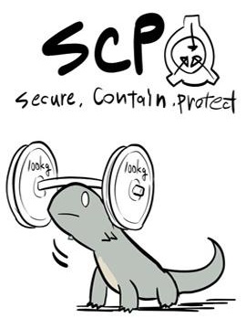 简明易懂的SCP