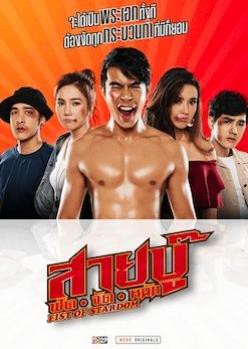 打架出头天封面图