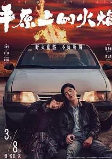 平原上的火焰封面图