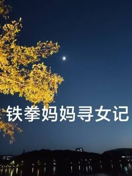 铁拳妈妈寻女记封面图