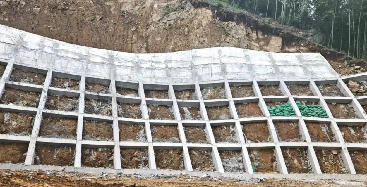 b372d05cad27ab1220578fac1676368 - 副本.jpg