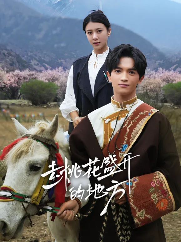 去桃花盛开的地方封面图