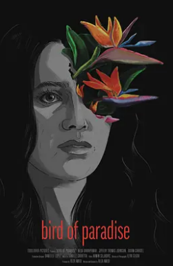 好莱坞梦魇封面图