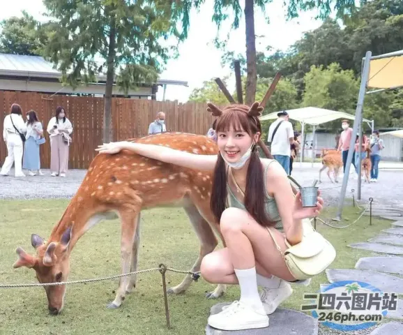 阿拉菲和一个穿着裙子、戴着帽子的女孩正在抚摸一只鹿