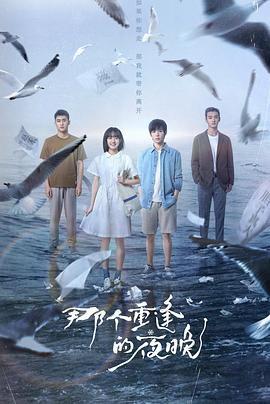 那个重逢的夜晚封面图