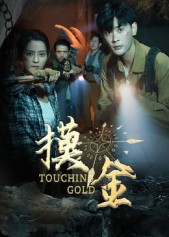 摸金封面图
