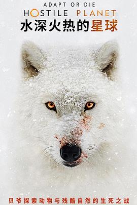水深火热的星球封面图