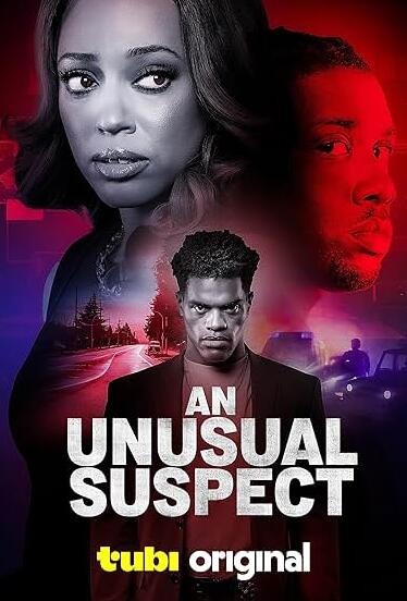 一个不寻常的嫌疑人封面图
