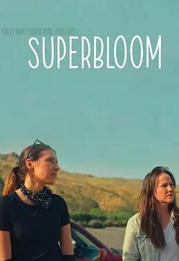 心花怒放封面图