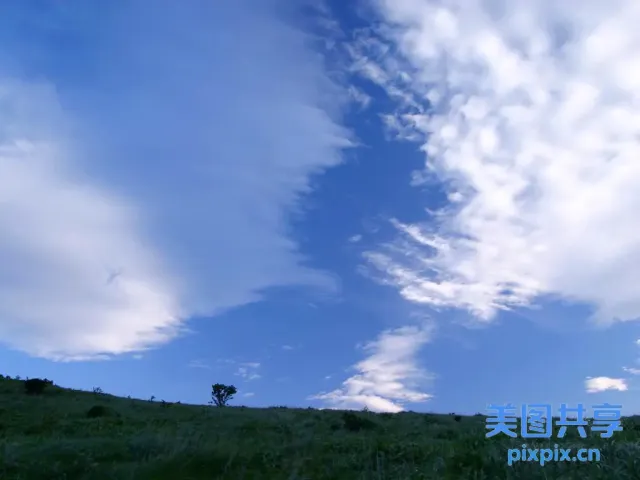有一头孤牛站在多云的天空下的草地上