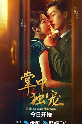 掌中独宠封面图