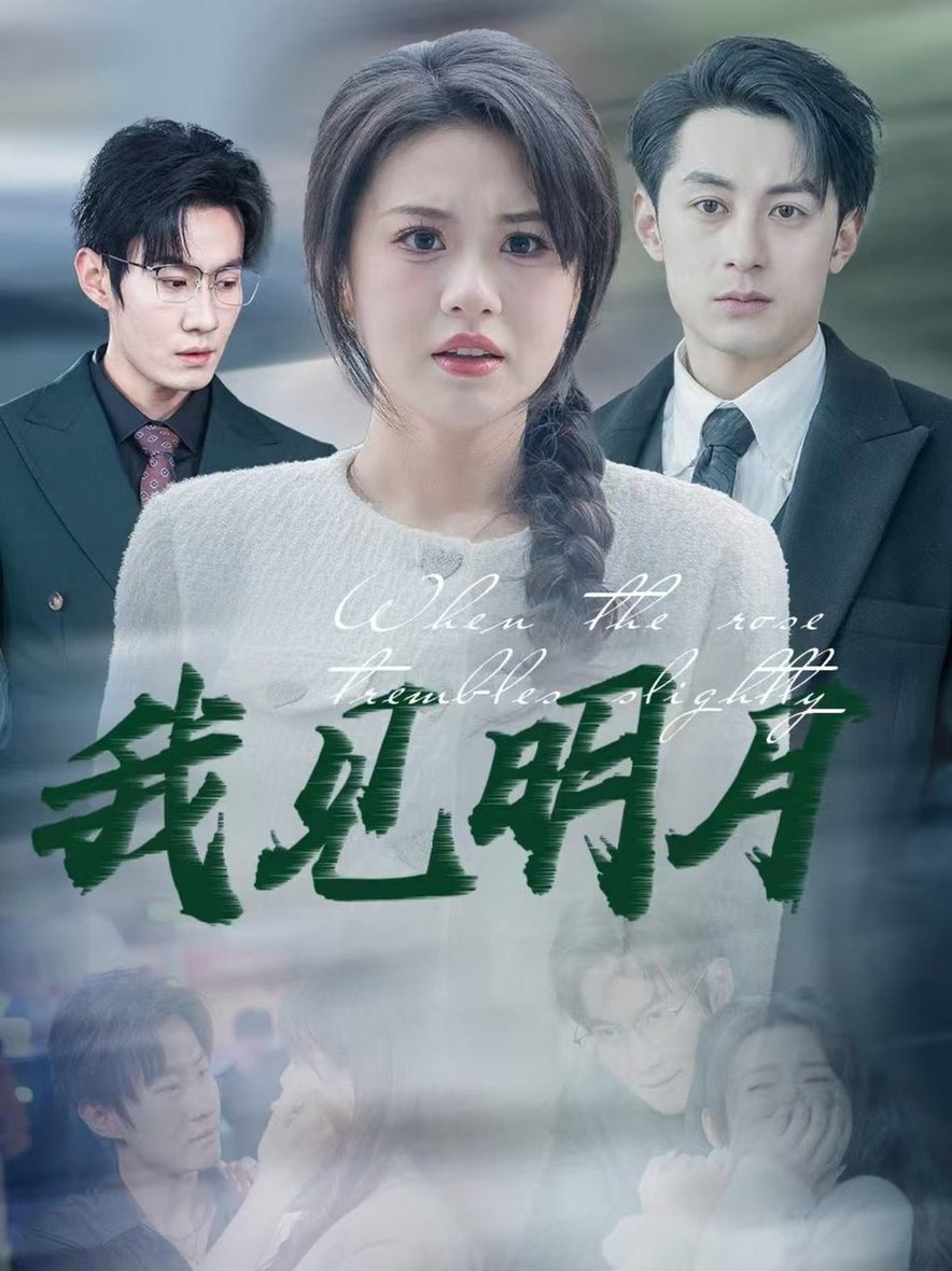 我见明月封面图