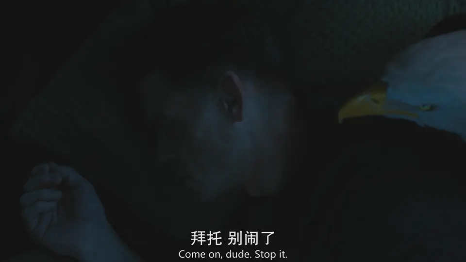 2025美剧《和平使者 第二季》更至05集.HD1080P.英语中英双字截图